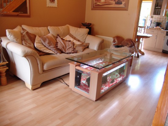 Beech color coffee table fish tank