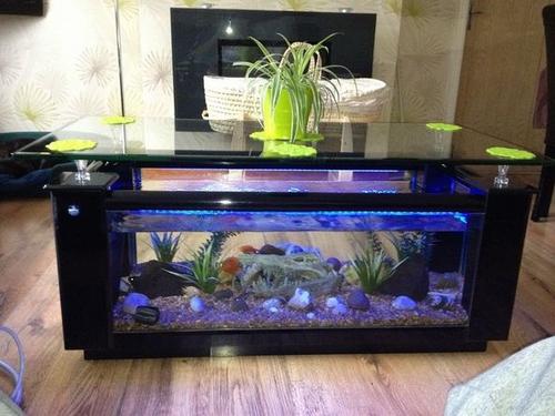 Elite black fish tank coffee table