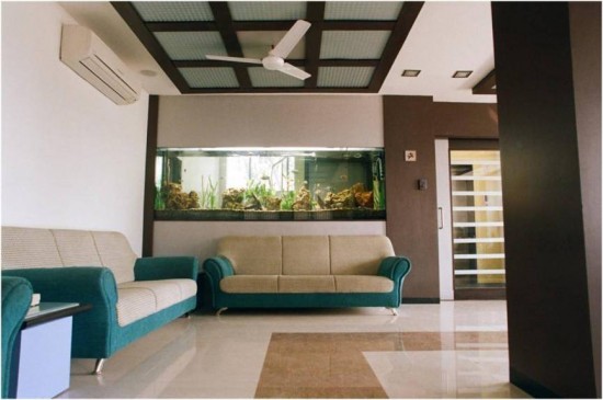 African cichlids office aquarium