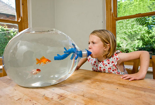 Blowing fish tank Blowing fish tank