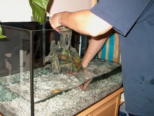 Cleaning your aquarium Cleaning your aquarium