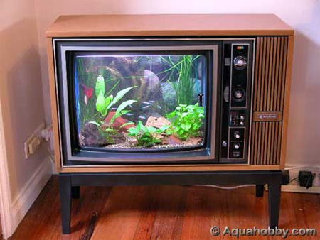 TV Aquarium